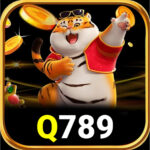 Q789-Game